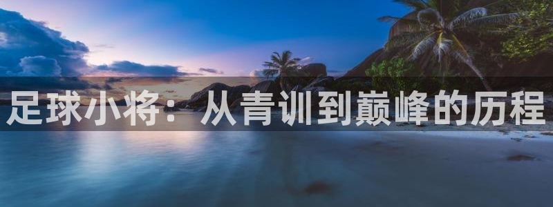 喵趣漫画官网下载：足球小将：从青训到巅峰的历程